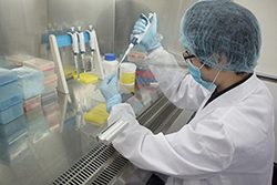 仙桃隐私亲子鉴定大概价格