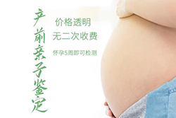 仙桃怀孕6周怎么做胎儿亲子鉴定