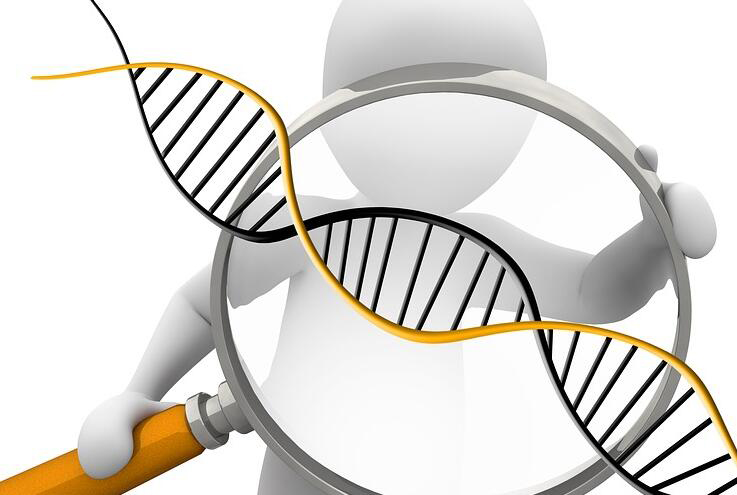 仙桃DNA亲子鉴定中心在哪,仙桃亲子鉴定需要的材料